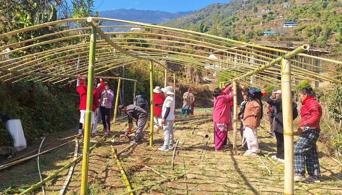 भोजपुर तिम्माका महिलालाई तरकारी खेती गर्न टनेल वितरण