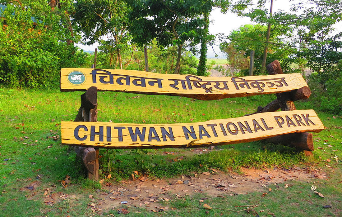 निकुञ्जभित्र सडकमा मोज्याकको काम सुरु