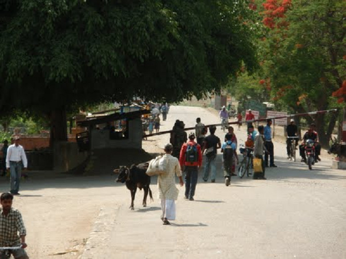 गण्डकीका १४ हजारभन्दा बढी कर्मचारी निर्वाचनमा खटिने