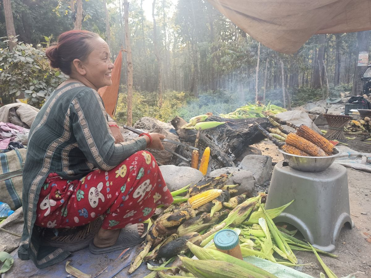 मकै पोलेर आम्दानीf
