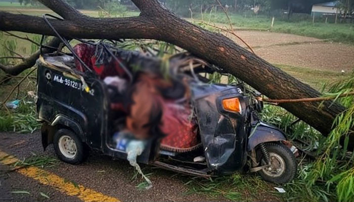 टेम्पोमाथि रुख ढल्दा २ जनाको ज्यान गयो, ३ जना घाइते