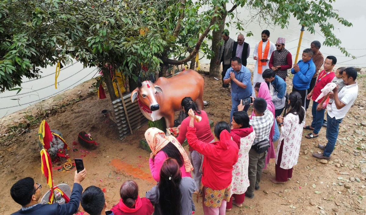 पञ्चकन्या मन्दिरमा गौमाता शिलामूर्ति अनावरण