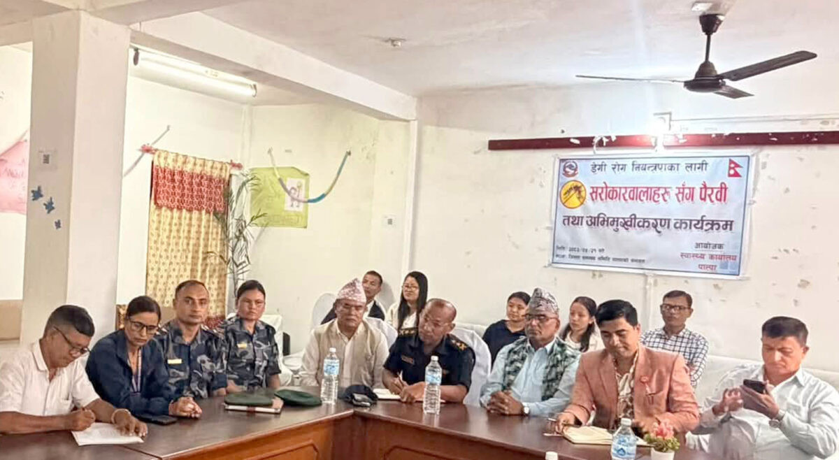 पाल्पामा २५५ जनामा डेङ्गु सङ्क्रमण पुष्टि